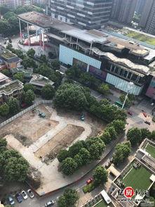 武汉潘大观最新爆料,揭秘武汉重大事件背后真相 第1张 武汉潘大观最新爆料,揭秘武汉重大事件背后真相 第1张